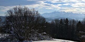 Jak zacząć przygodę z biegówkami?