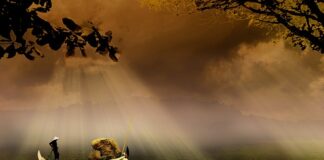 Où on peut pêcher sans carte ?