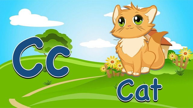 Czy fiszka jest dobra? Czy fiszka jest dobra?