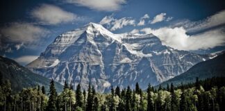 Jak prawidłowo zamontować wiązania do nart biegowych?