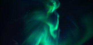 Jak nazywają się paski od plecaka?