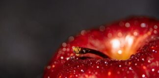 Quels sont les bienfaits de la pêche ?