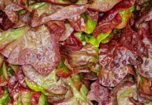 Co Kroić na drewnianej desce?