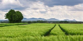Jak zmienić rozstaw wiązań w nartach?