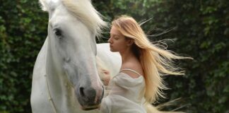 Why do horses like humans so much?
