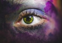 Jak rozpoznać gdzie jest nose a gdzie tail?