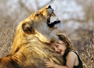 Qual è il miglior campeggio d'Italia?