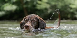Od czego zacząć pływanie?