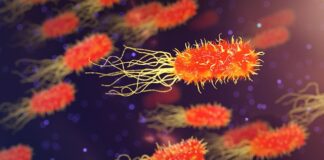 Jak się pozbyć bakterii z wody?