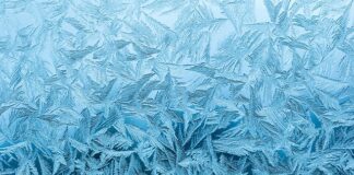 Czy koc termiczny chroni przed mrozem?