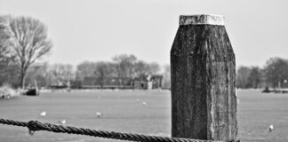 Jakie liny cumownicze?