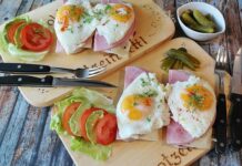 Co lepsze białko czy węglowodany? Co lepsze białko czy węglowodany?