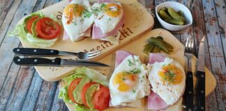 Co lepsze białko czy węglowodany?