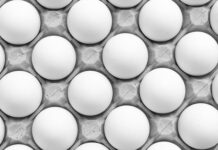 Czy konie mogą jeść jajka?