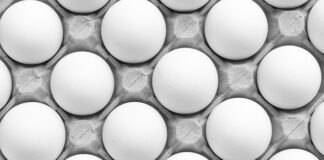 Czy konie mogą jeść jajka?