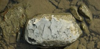 Czy Szungit jest bezpieczny?