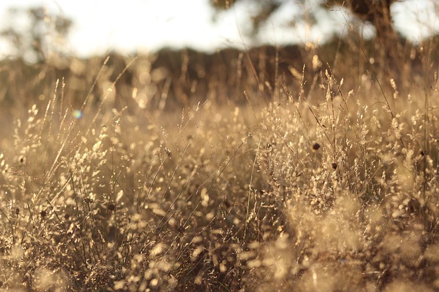 Jakie są rodzaje filtrów do wody? Jakie są rodzaje filtrów do wody?