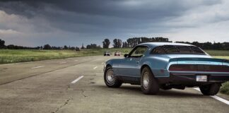 Co brać na masę mięśniową?