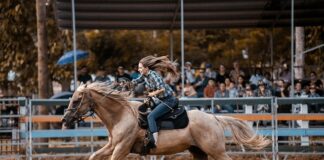 Jak się nazywa jeździec na koniu?