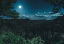 Jakie gogle narciarskie do jazdy w nocy?