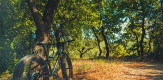 Do czego jest Fat Bike?