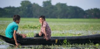 Ile kosztuje osmoza?