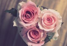 Co można kupić chłopakowi na rocznicę?