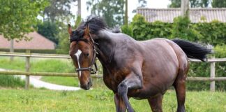 Jak biegać żeby się nie męczyć?