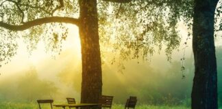 Jakie gogle na początek?