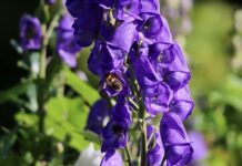 W jakim sklepie można kupić kominiarkę?