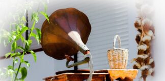 Jaki jest rekord świata w zejściu pod wodę bez butli?