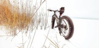 Jaki elektryczny fatbike?