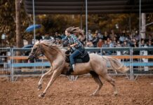 Co pili kowboje? Co pili kowboje?