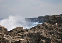 Ile kosztuje Demo 8?