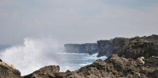 Ile kosztuje Demo 8?