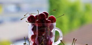 Od czego zacząć odchudzanie w domu?