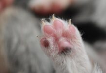 Jak odciążyć stawy nadgarstka? Jak odciążyć stawy nadgarstka?