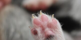 Jak odciążyć stawy nadgarstka?