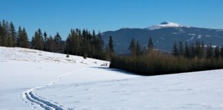 Od czego zacząć Skitury?