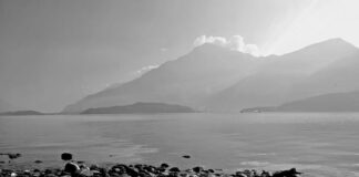 Ile kosztuje gaz pieprzowy?