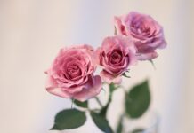 Co na urodziny dla 11 latka?