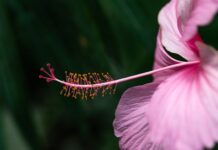 Jak dobrać rozmiar butów skiturowych? Jak dobrać rozmiar butów skiturowych?