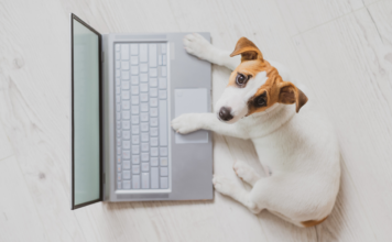 Work-life-pet balance